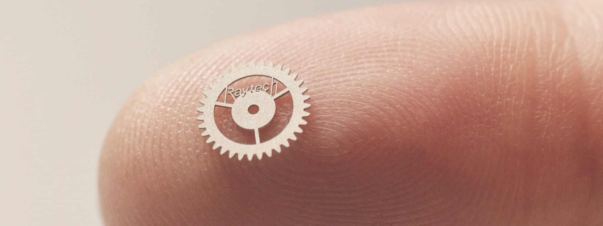 Raytech laser snijden productie